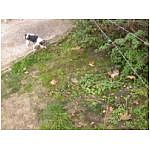 dscn4044.html