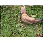 dscn4048.html