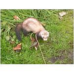 dscn4053.html