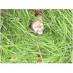 dscn4060.html