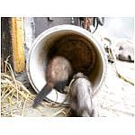 dscn4075.html