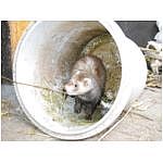 dscn4079.html