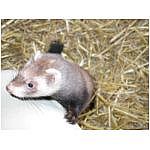 dscn4082.html