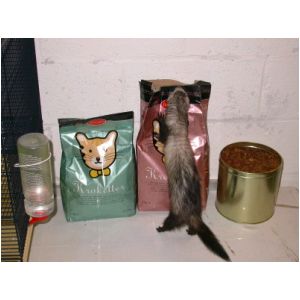 DSCN3226.html
