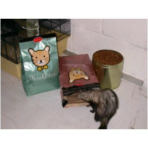 DSCN3229.html