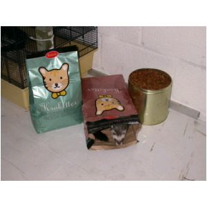 DSCN3230.html