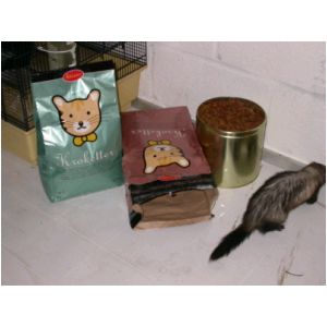 DSCN3231.html