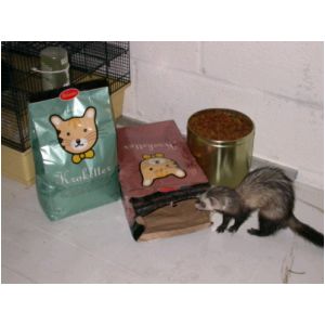 DSCN3232.html