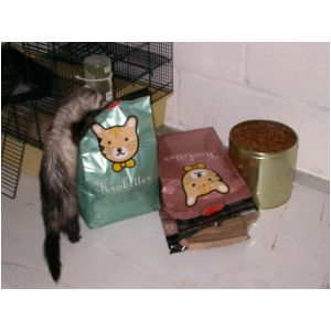 DSCN3233.html