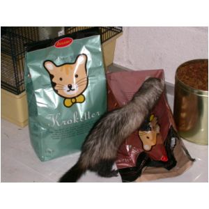 DSCN3234.html