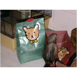 DSCN3235.html