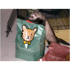 DSCN3237.html
