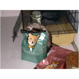 DSCN3238.html