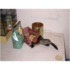 DSCN3255.html