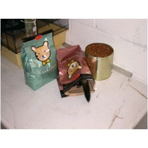 DSCN3256.html