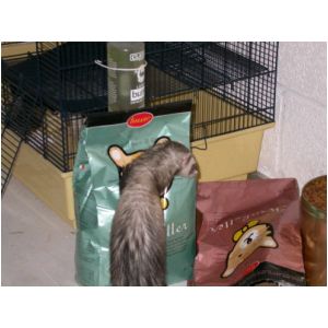 DSCN3258.html