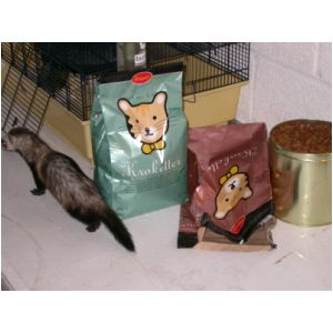 DSCN3259.html