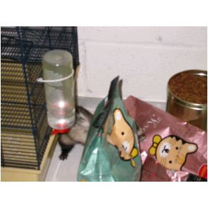 DSCN3260.html