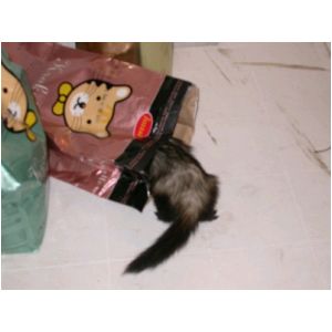 DSCN3261.html