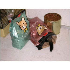 DSCN3262.html
