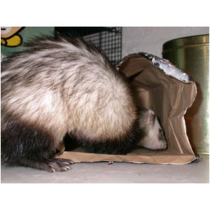 DSCN3265.html