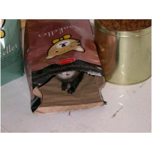 DSCN3267.html