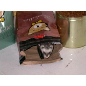 DSCN3268.html