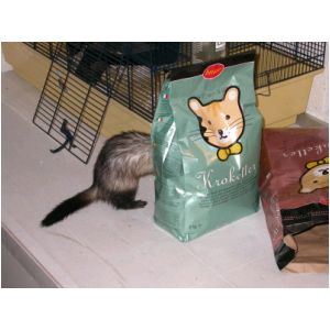 DSCN3269.html