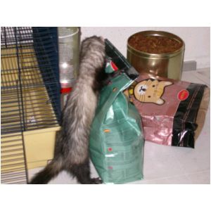 DSCN3270.html