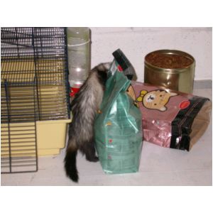 DSCN3271.html