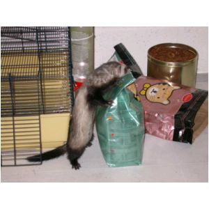 DSCN3272.html