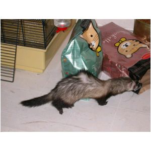 DSCN3273.html