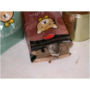 DSCN3275.html