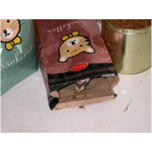 DSCN3276.html