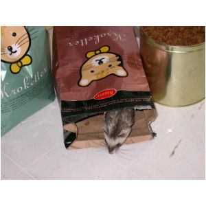 DSCN3278.html